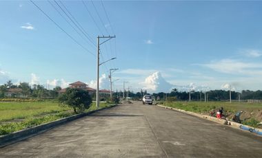 Lots in Brighton Bacolod by Robinsons, Villa Lucasan Road