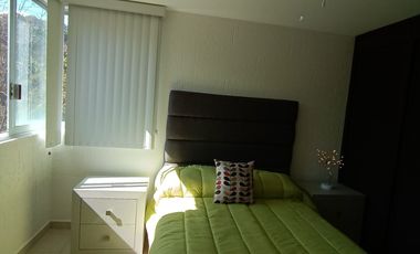 Hermoso departamento en el bosque.