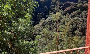 Hermoso departamento en el bosque.