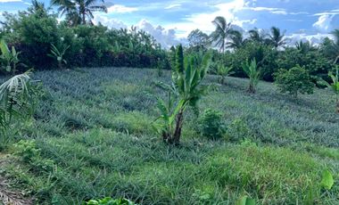 For Sale: Agricultural Land For Sale In Cavite City