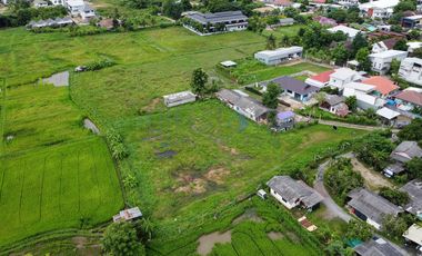 Land in San Kamphaeng for Sale near Charoen Charoen Market