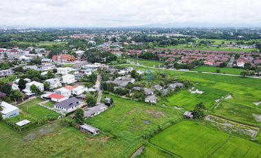 Land in San Kamphaeng for Sale near Charoen Charoen Market