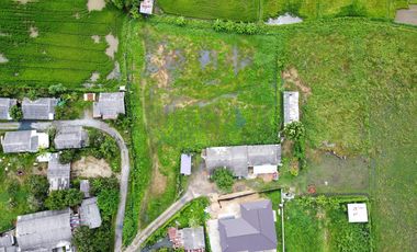 Land in San Kamphaeng for Sale near Charoen Charoen Market