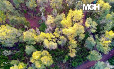 Parcela en Parque Volcanes, Ensenada, Puerto varas