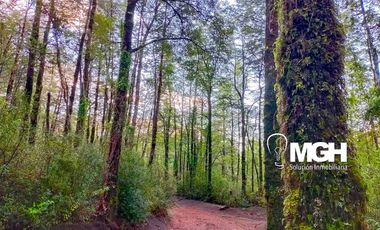 Parcela en Parque Volcanes, Ensenada, Puerto varas