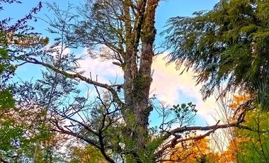 Parcela en Parque Volcanes, Ensenada, Puerto varas