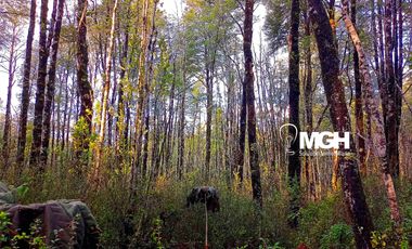 Parcela en Parque Volcanes, Ensenada, Puerto varas