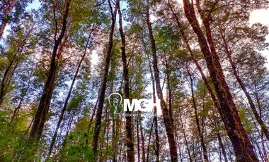 Parcela en Parque Volcanes, Ensenada, Puerto varas