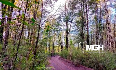 Parcela en Parque Volcanes, Ensenada, Puerto varas