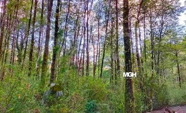 Parcela en Parque Volcanes, Ensenada, Puerto varas