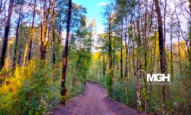 Parcela en Parque Volcanes, Ensenada, Puerto varas