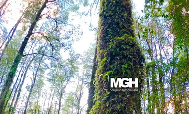 Parcela en Parque Volcanes, Ensenada, Puerto varas