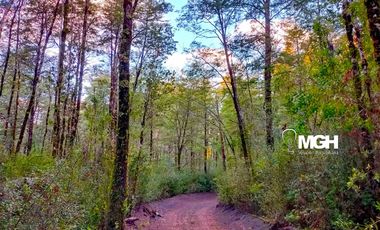 Parcela en Parque Volcanes, Ensenada, Puerto varas