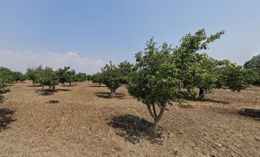 Terreno en venta Huejotzingo Puebla