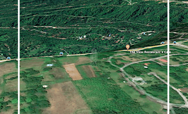 2.2 Hectare Land for Sale Along Tagaytay-Nasugbu Hiway, Alfonso, Cavite