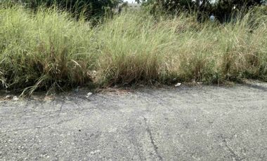 Land for sale in Pangasinan, Urdaneta City
