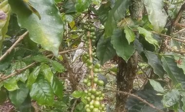 Futura ciudad Oportunidad 10 Ha para Inversion