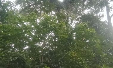 Futura ciudad Oportunidad 10 Ha para Inversion