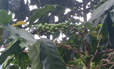 Futura ciudad Oportunidad 10 Ha para Inversion