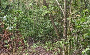 Futura ciudad Oportunidad 10 Ha para Inversion