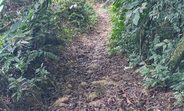 Futura ciudad Oportunidad 10 Ha para Inversion