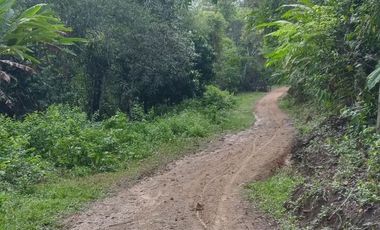 Futura ciudad Oportunidad 10 Ha para Inversion