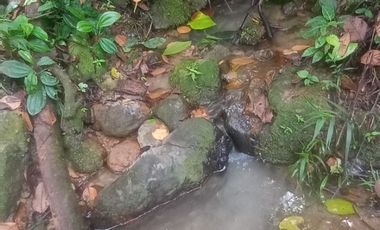 Futura ciudad Oportunidad 10 Ha para Inversion