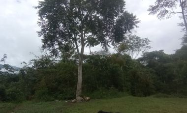 Futura ciudad Oportunidad 10 Ha para Inversion