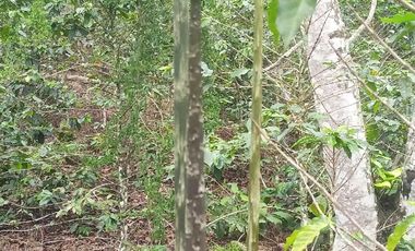 Futura ciudad Oportunidad 10 Ha para Inversion