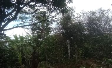 Futura ciudad Oportunidad 10 Ha para Inversion