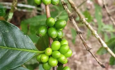 Futura ciudad Oportunidad 10 Ha para Inversion