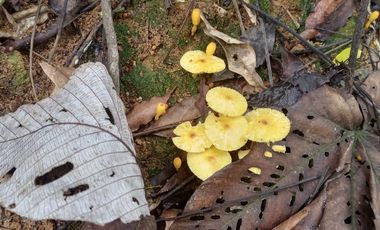 Futura ciudad Oportunidad 10 Ha para Inversion