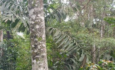 Futura ciudad Oportunidad 10 Ha para Inversion