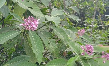 Futura ciudad Oportunidad 10 Ha para Inversion