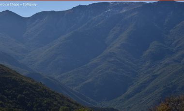 Se vende 122 hectáreas en Colliguay