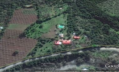 Se vende 122 hectáreas en Colliguay