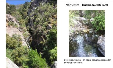 Se vende 122 hectáreas en Colliguay