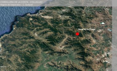 Se vende 122 hectáreas en Colliguay