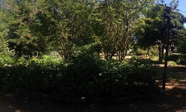 Se vende 122 hectáreas en Colliguay