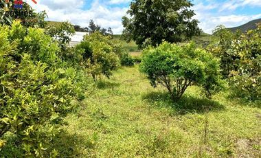 Finca de venta en Carchi cantón Bolivar, comunidad El Rosal, sector Alor, 9 hectáreas