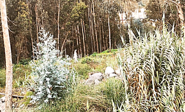 VENTA- TERRENO DE VENTA EN LA CIUDAD DE GUANO 23URB003