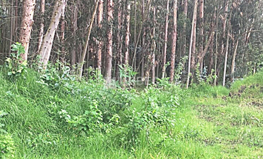 VENTA- TERRENO DE VENTA EN LA CIUDAD DE GUANO 23URB003