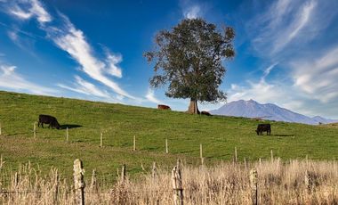 PREVENTA PARCELAS CAMINO LAS LOMAS