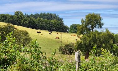 PREVENTA PARCELAS CAMINO LAS LOMAS