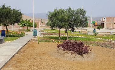Venta de 2 lotes contiguos para vivienda, en urbanización Lomas de Pucusana, zona segura, con amplios parques, juegos para niños, pórtico de ingresos