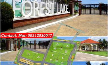 Forest Lake Bacolod Alijis Memorial Lot For Sale