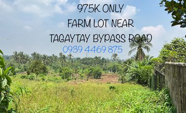 234,000 THOU DOWNPAYMENT INSTALLMENT FARM LOT 11 MINS TO TAGAYTAY BYPASS ROAD