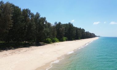 3 Rai Beachfront for Sale with Stunning Sea Views Close to Aquella Golf Club Thai Mueang, Phangnga