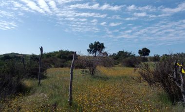 Hermosas parcelas planas  a solo  2hrs de Santiago ¡¡¡¡