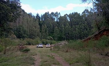 Parcela 1 Ha Sector Santo Domingo $ 150.000.000.-